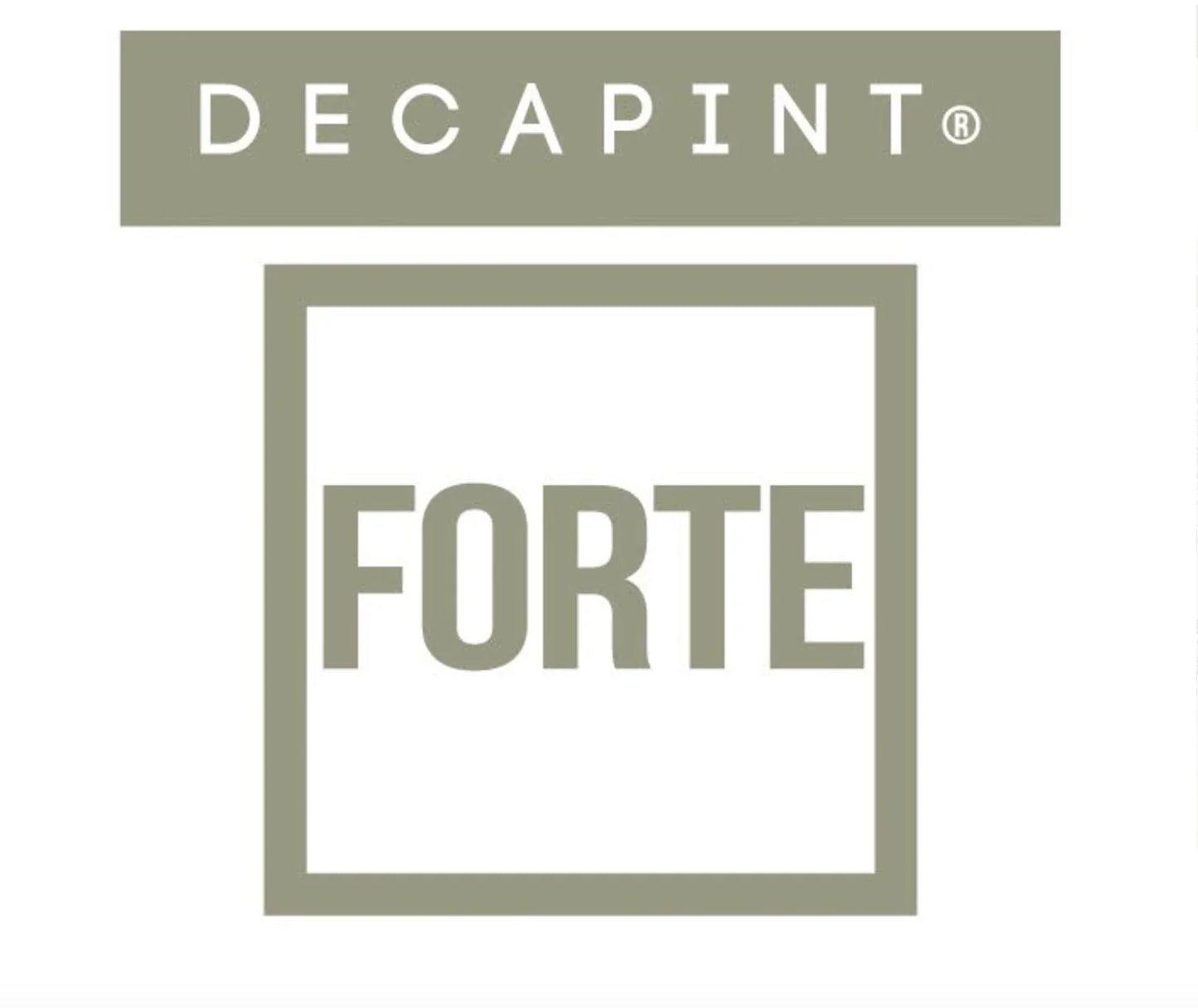 logotipo de Detergente Removedor de Graffitis em Gel 5 Litros Profissional da marca DECAPINT