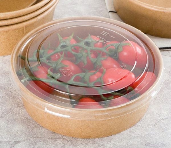 DELFI PRO SLK (50un)