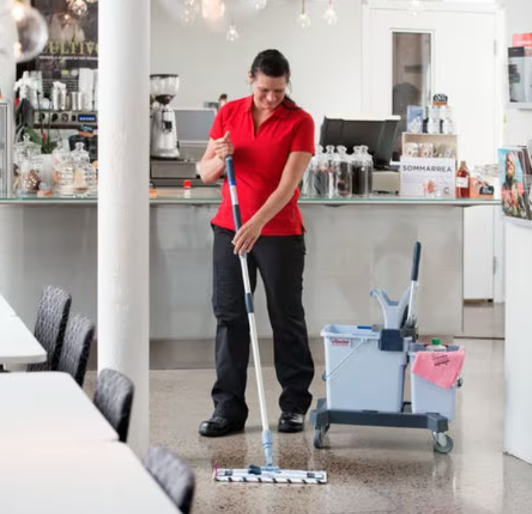 VILEDA KIT ULTRASPEED Carrinho Lavagem Pavimentos Mopa Microfibra Profissional