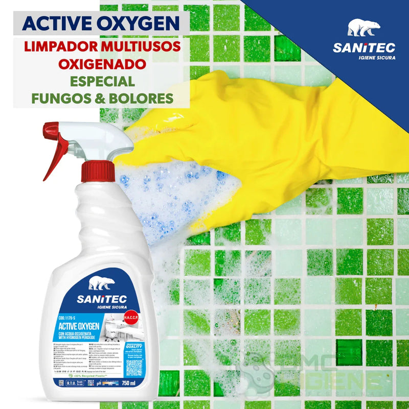 imagem técnica de Spray para Remoção de Fungos & Bolores em Superfícies