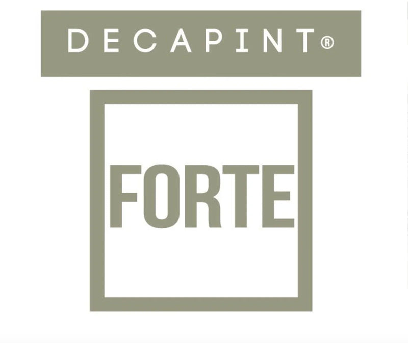 logotipo de Detergente Removedor de Graffitis em Gel 5 Litros Profissional da marca DECAPINT