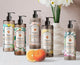 GFL PURIFYING HAND WASH 380ml