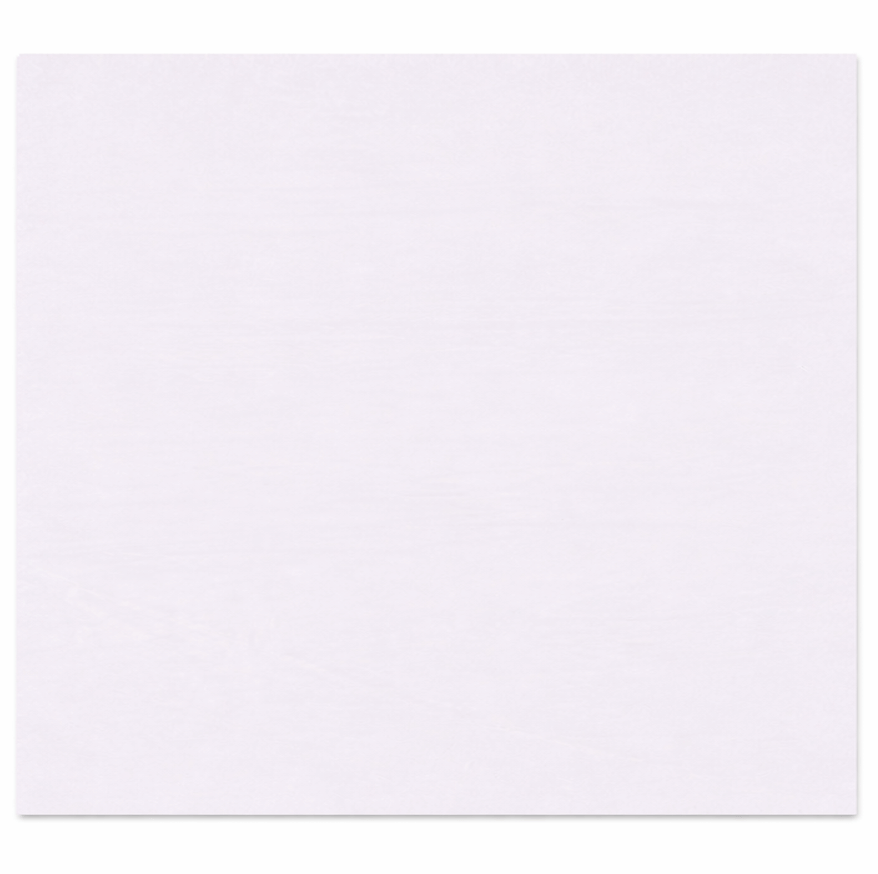 Papel Folha Anti-Gordura Branca 30x38 cm apresentando uma folha branca, ideal para uso em food service, pack de 1000 folhas.