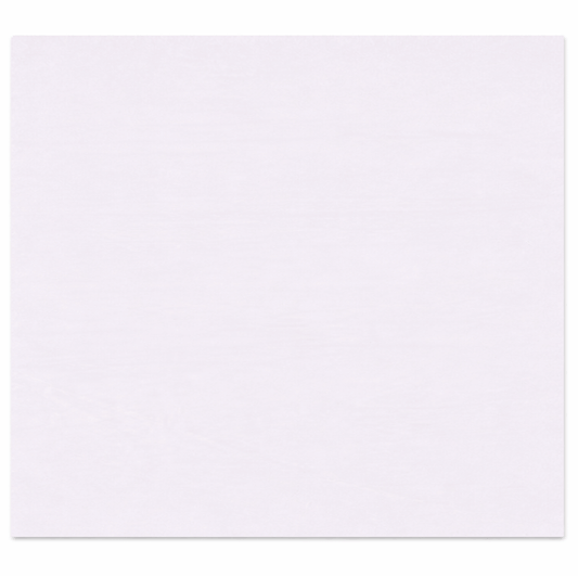Papel Folha Anti-Gordura Branca 30x38 cm apresentando uma folha branca, ideal para uso em food service, pack de 1000 folhas.