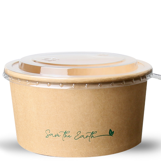 DELFI PRO SLK13 (25un)