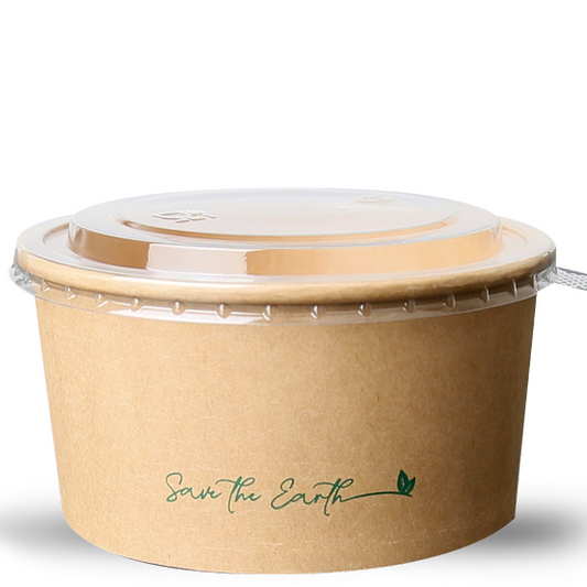 DELFI PRO SLK13 (25un)