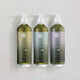 GENEVA GREEN BODY MOISTURISER 5L